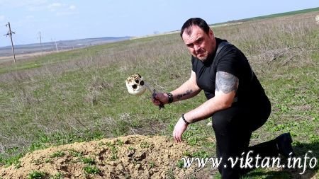 Виктан.  Viktan.  Viktan.info (12)