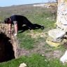 Виктан.  Viktan.  Viktan.info (9)
