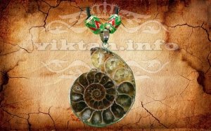  Фотография - Талисман - Оберег Улитка - в Эзотерическом магазине Ритуалов и магических Аксесуаров