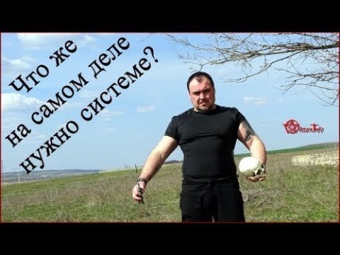 Что же на самом деле нужно системе. Виктан.