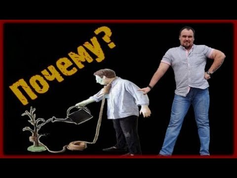 Почему нет денег и счастья. Виктан.