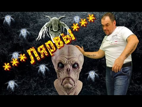 Кто такие лярвы. Как мы их создаем. Виктан.