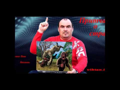 О страхе. Об обезьянах. Притча. Читает Виктан.